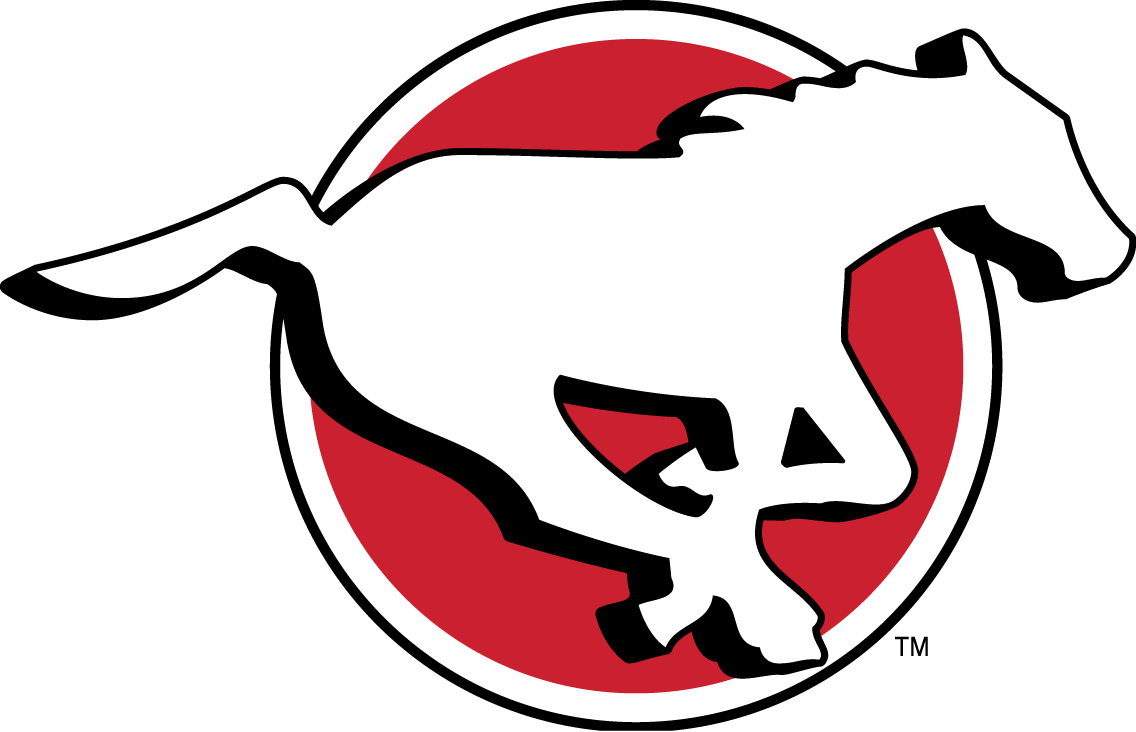 calgary stampeders 2012-pres primary logo t shirt iron on transfers...